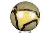 Polished Septarian Sphere - Madagascar #260034-1